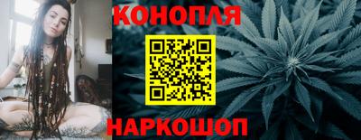 мяу мяу мука Ачхой-Мартан