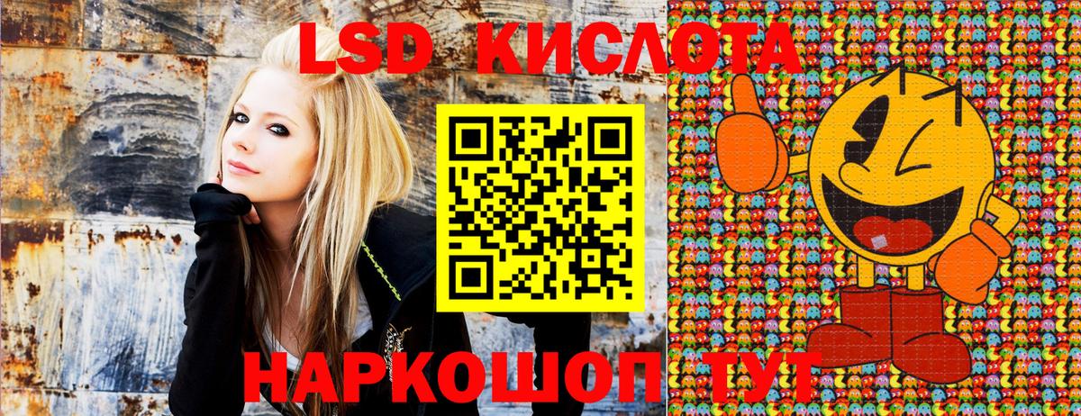 Наркотические марки 1500мкг  где купить наркоту  Александров  Вход с VPN  Наркотические марки 1500мкг 