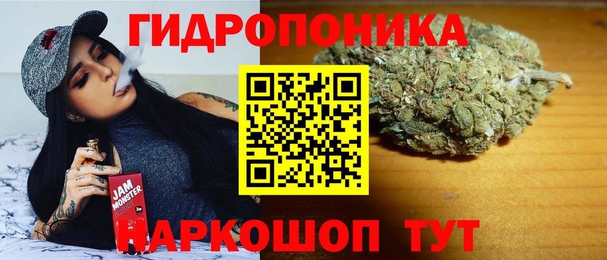 МАРИХУАНА конопля Александров